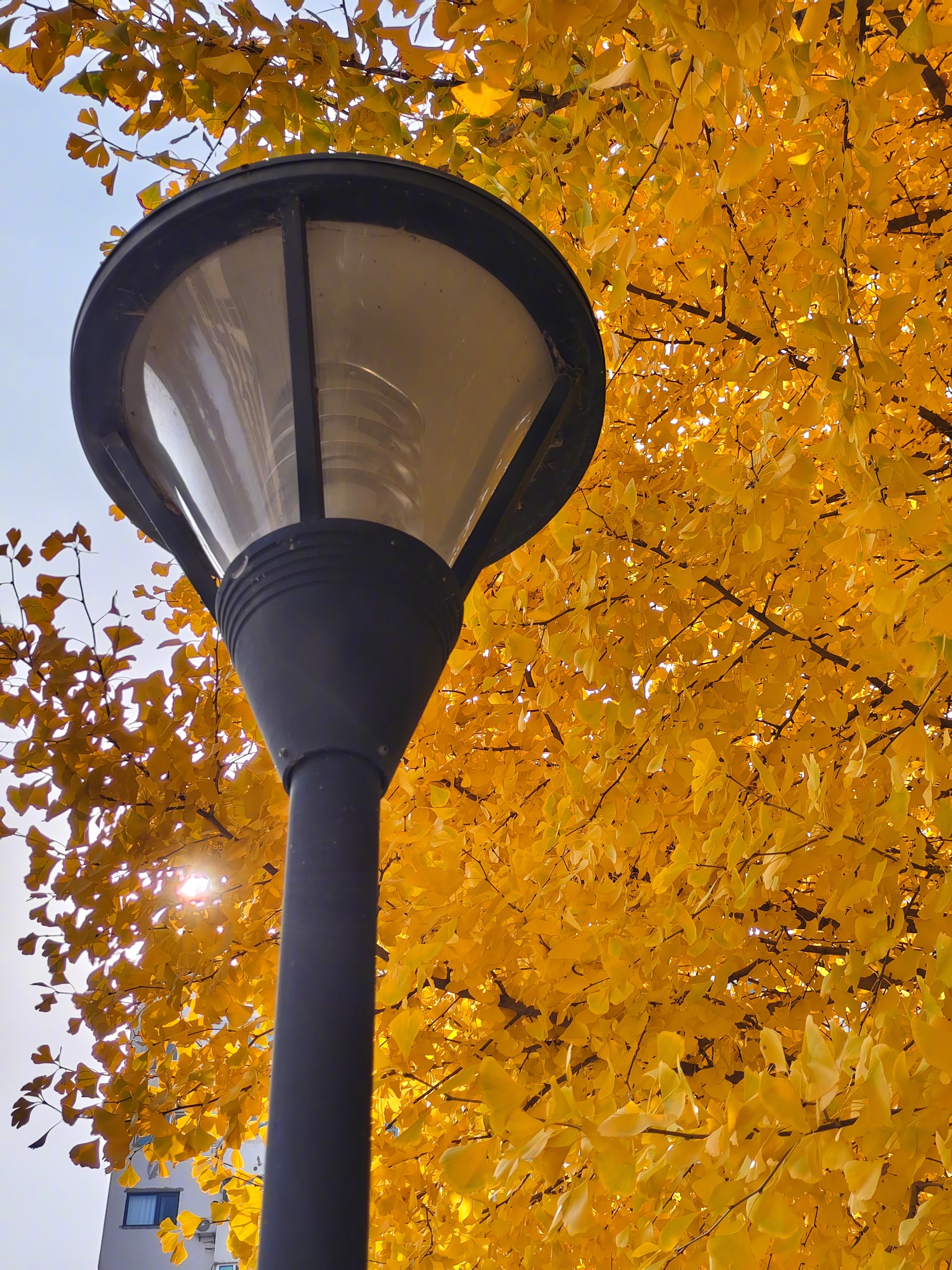 中国和其他国家的关系说到底就是只约会交易不结婚，不搞结盟体制，你就别想跟我有法律