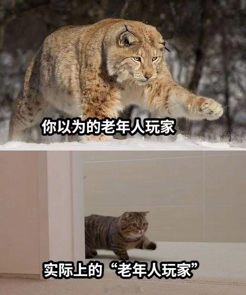 #七旬老人刷脸才能玩游戏##蛋仔派对回应限制老年人注册#我奶还在广场舞入门，别人