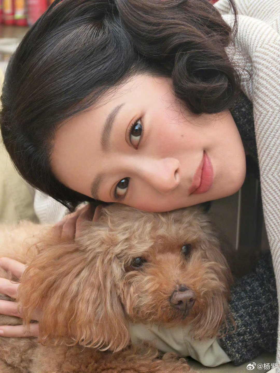 杨紫祯娘传或三月播出杨紫祯娘传或将三月播出 杨紫祯娘传或将三月播出，生命树结束没