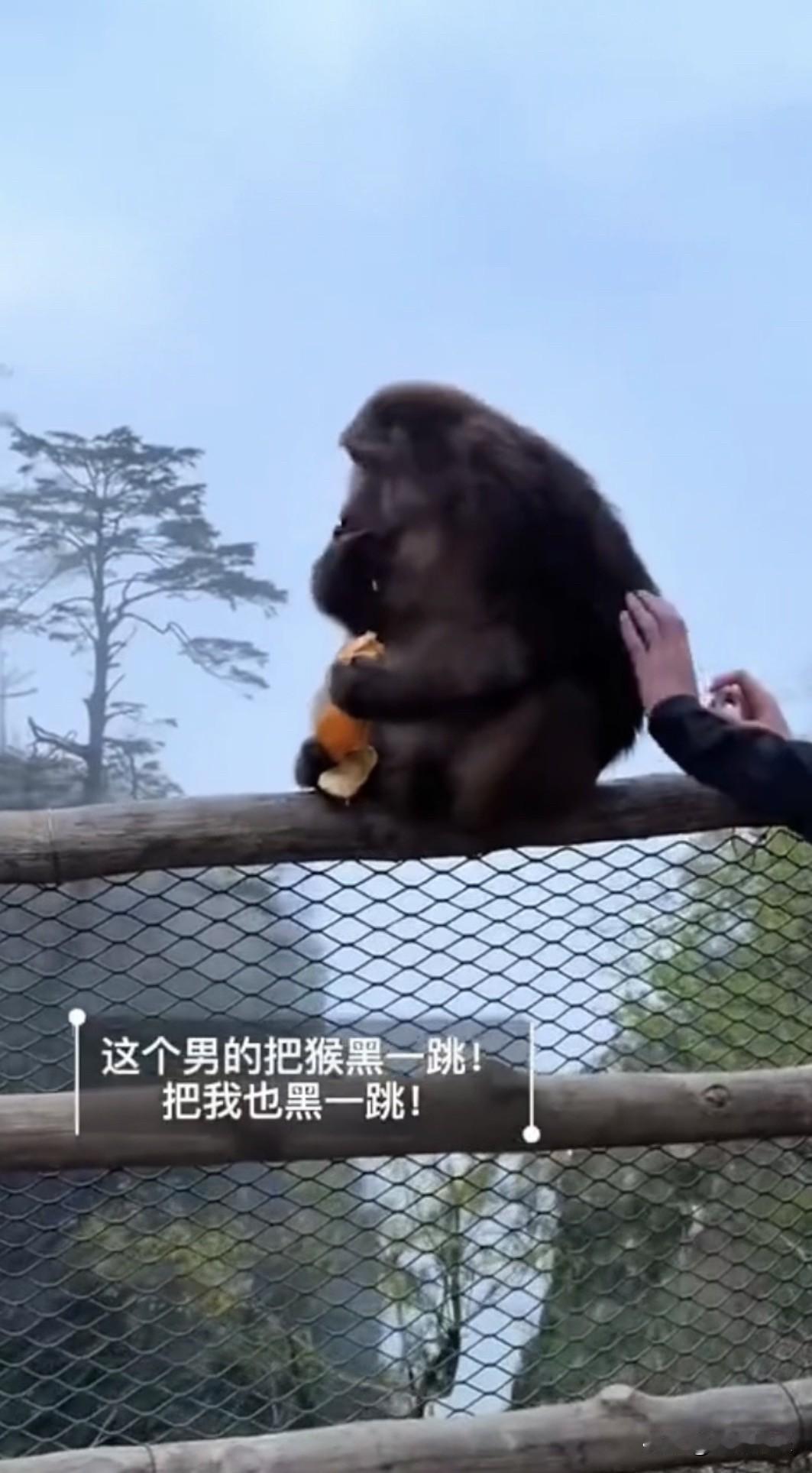 最近，一段男子在峨眉山悬崖边欺负猴子的视频火遍全网，引发很多网友愤怒。画面里这名