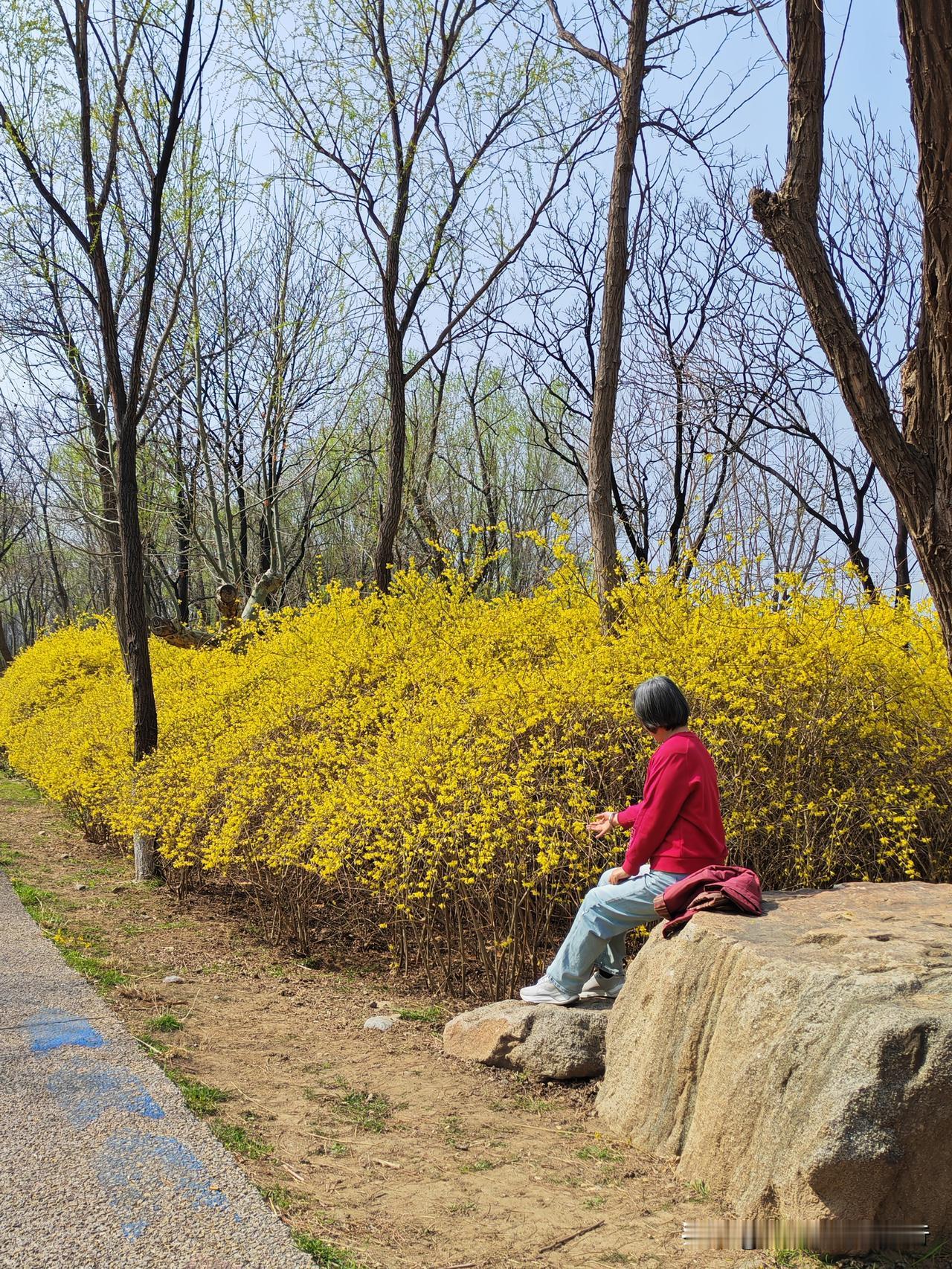心理学专家说，六十岁以上的女人一天要说两万字，说不了这么多心里就会压抑。

可问