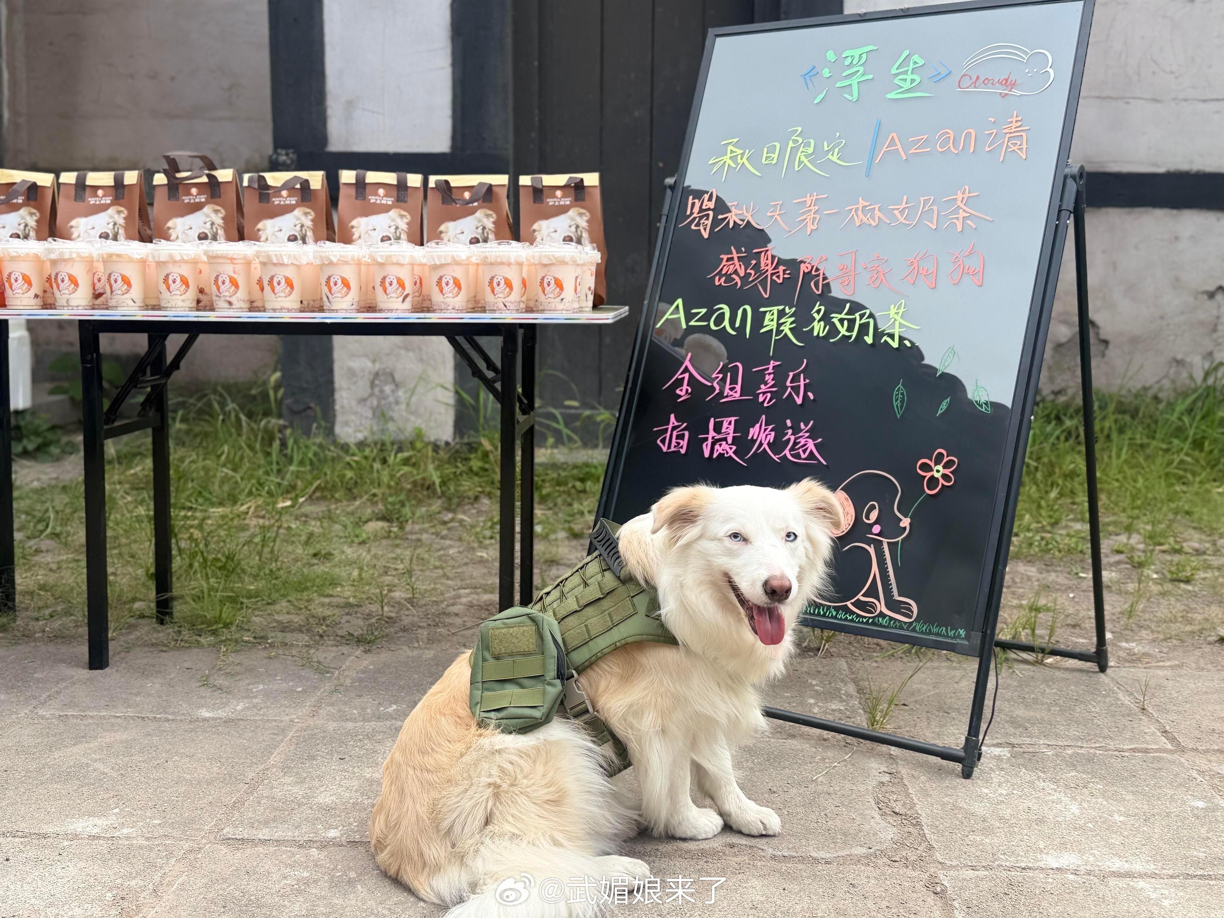 陈哲远的狗狗azan请《浮生》剧组喝秋天的第一杯奶茶，还是azan联名款哦～