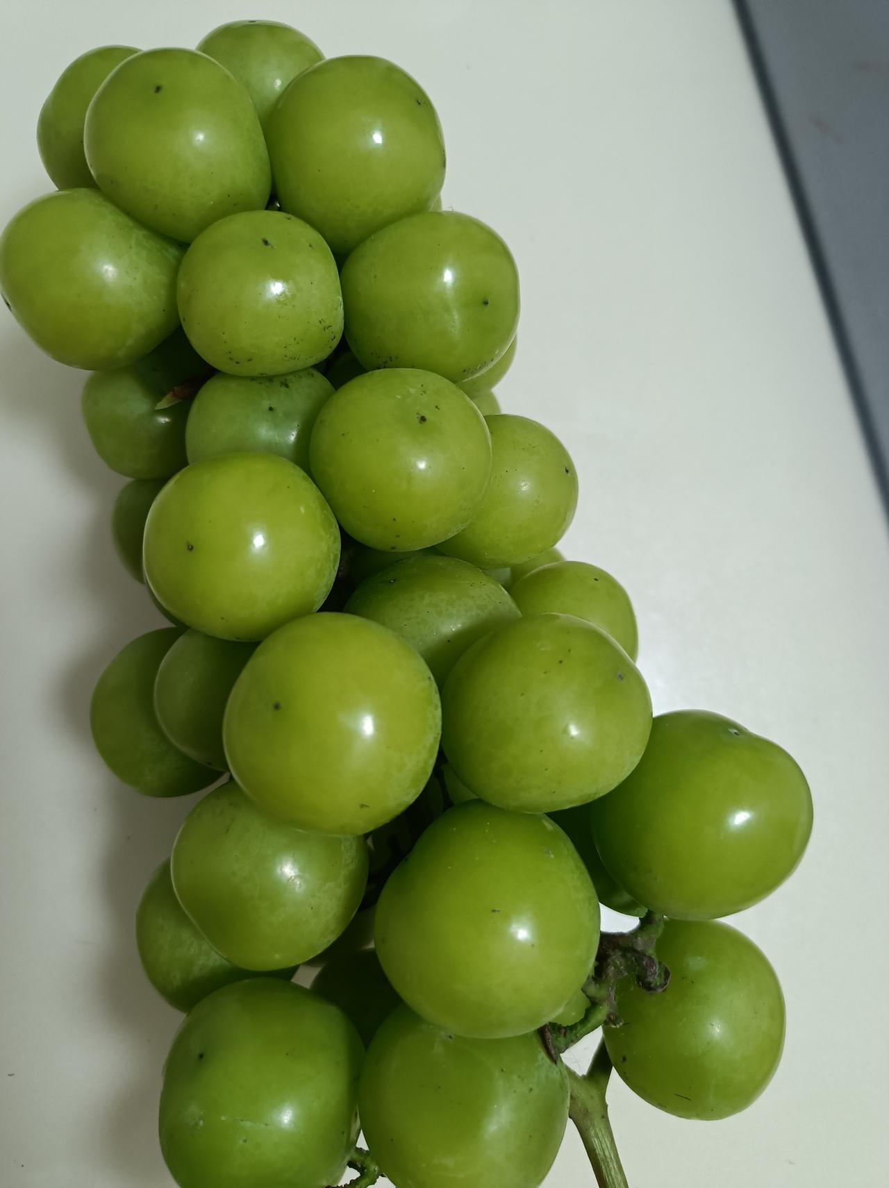 上一次吃阳光玫瑰，已经是两年前的事了。吃了之后听到说啥的都有，总之是说阳光玫瑰不