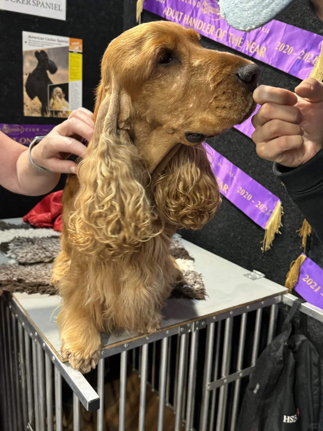 Pet expo 拿samples拿到手软