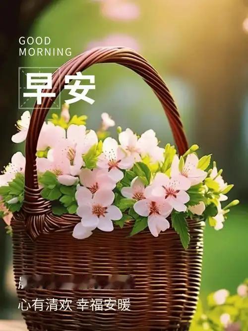 花开时节，面对肆意绽放、灿烂且热烈的世间精灵，想不微笑都做不到。