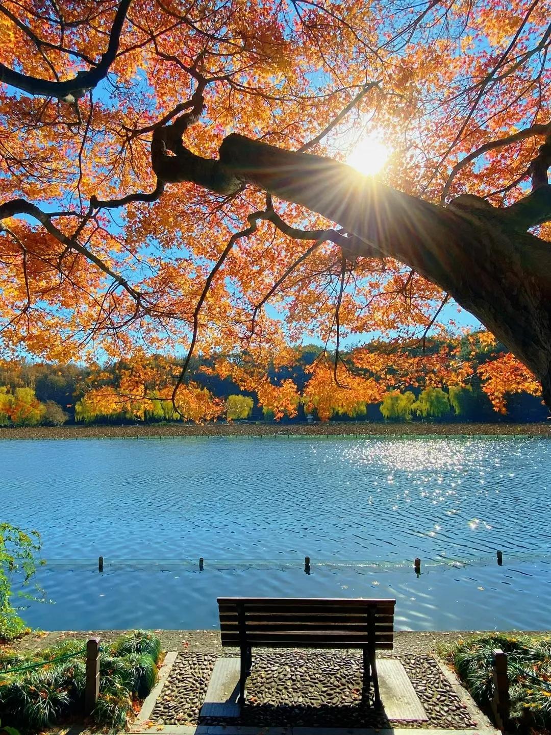 奉劝大家不要想不开，不管是因为家庭，工作，朋友，不开心的时候可以做一些事情分散注