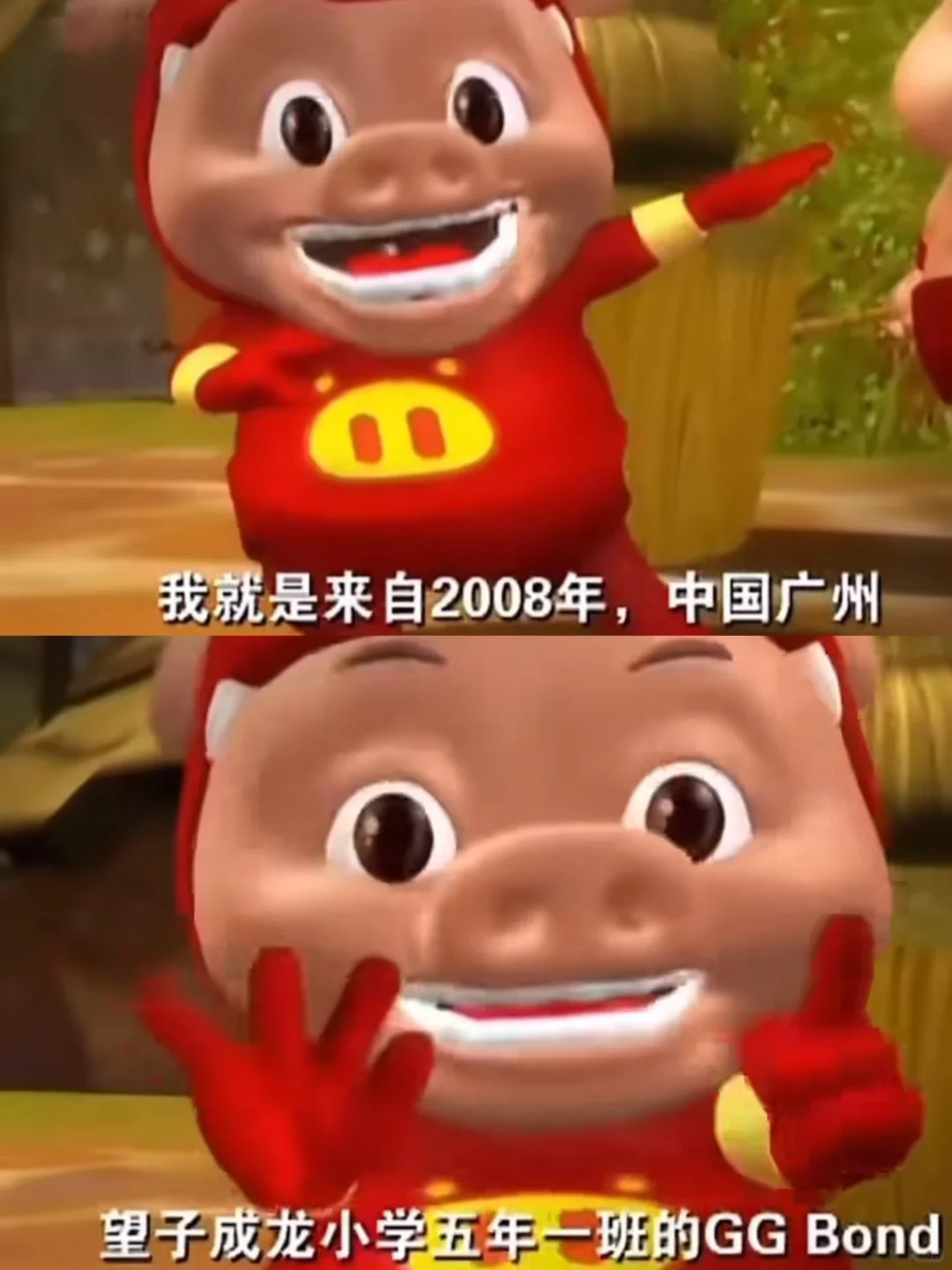 偶遇小学猪秋游