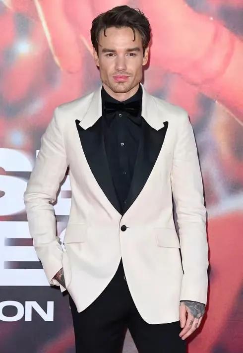 利亚姆佩恩，英国著名乐队歌手，前几天坠楼身亡了。
据说出事儿前就已经处于醉酒酗酒