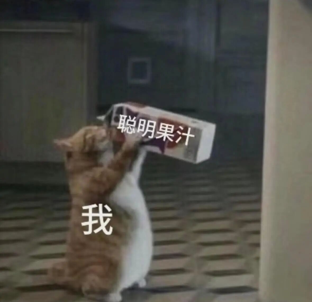 这样吧，拿起手机！既然不知道怎么选！都给我投最黄的！！！！！都给我投最黄的！！！
