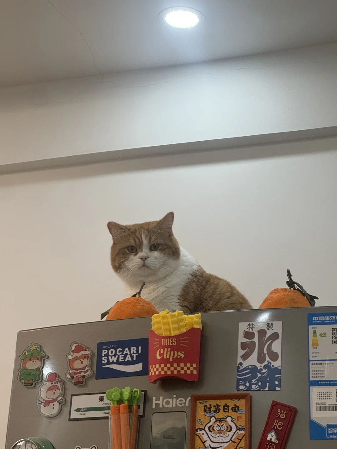 咋了 你想让我把你供起来啊