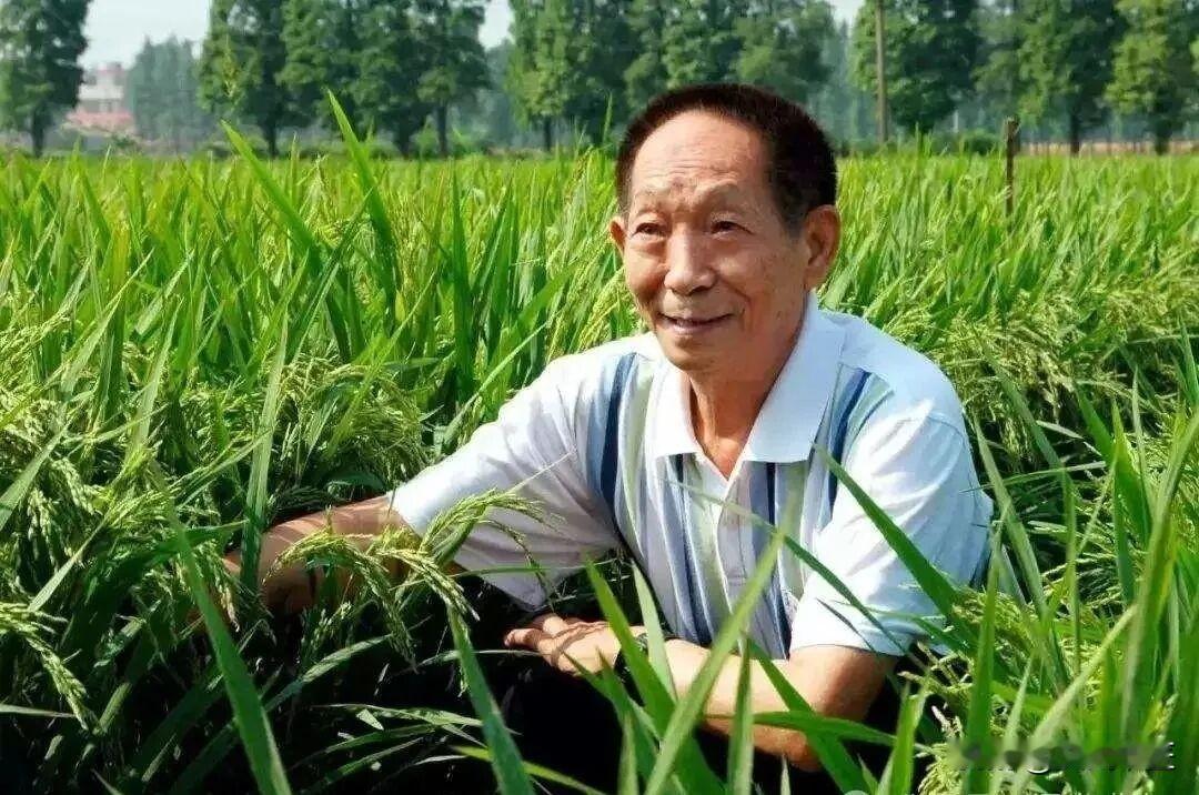 袁隆平院士夫人走访隆平学院！
杰出科学家袁隆平的遗孀邓则女士前往九江职业大学隆平