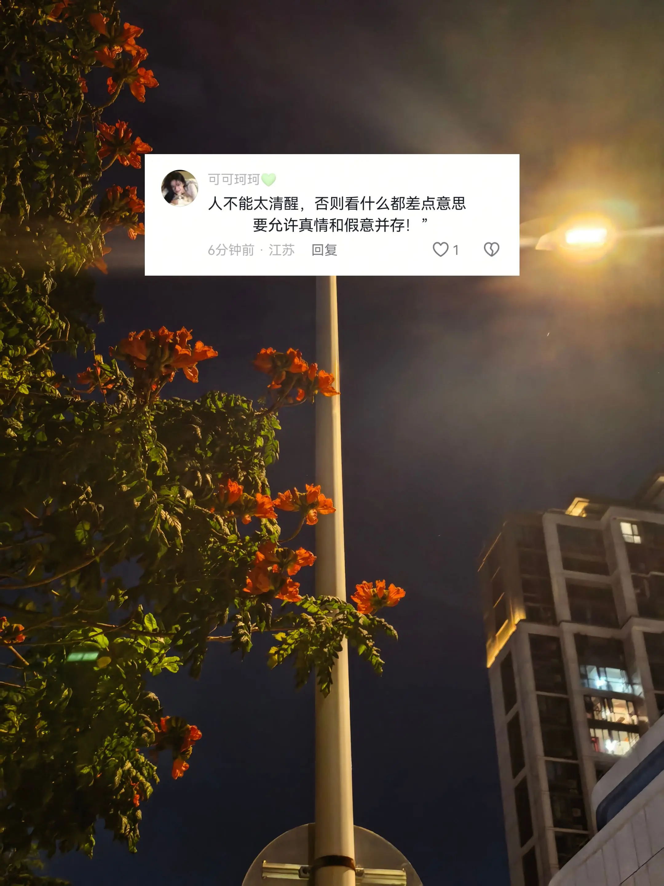 清醒是枷锁，糊涂是解药，看破所有本质之后，很难再拥有期待，学会接纳人性...