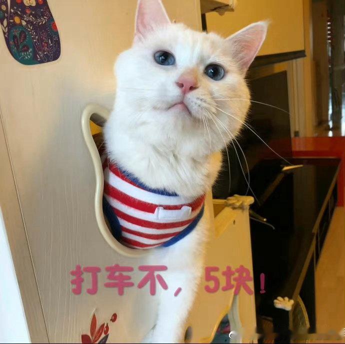 今天运气好好啊，下车发现帽子落车上了，赶紧给师傅打电话，他刚刚好掉头，然后再掉头