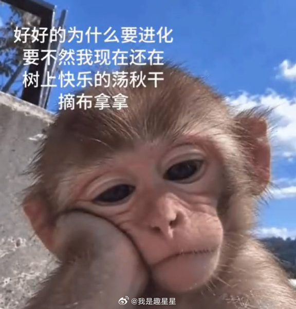 就是 ​​​