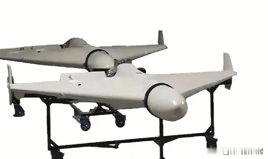 伊朗有什么战略，其实就是没有战略，要说真的有，那就是消耗战，把美国人每年8，9千