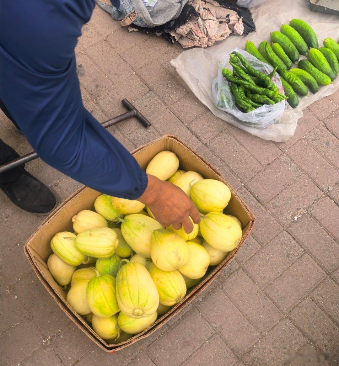 早晨去了早市，满是烟火气，买了点香瓜，凑近鼻子一闻，就满是香气。旁边卖菜的阿姨热