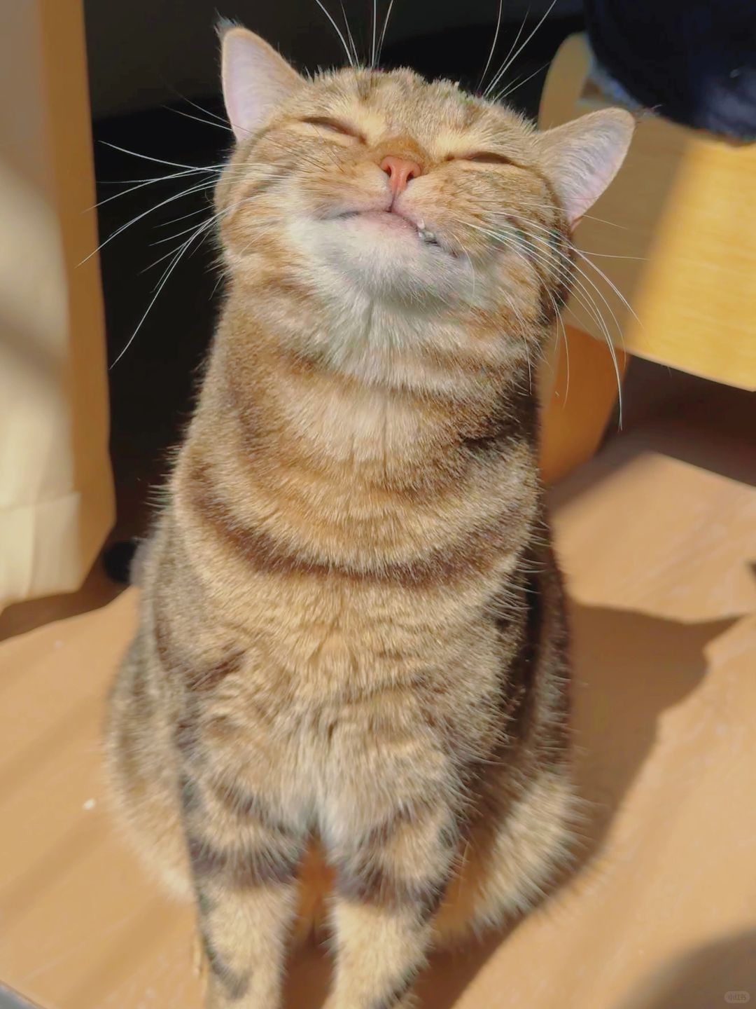 眯眼享受合集