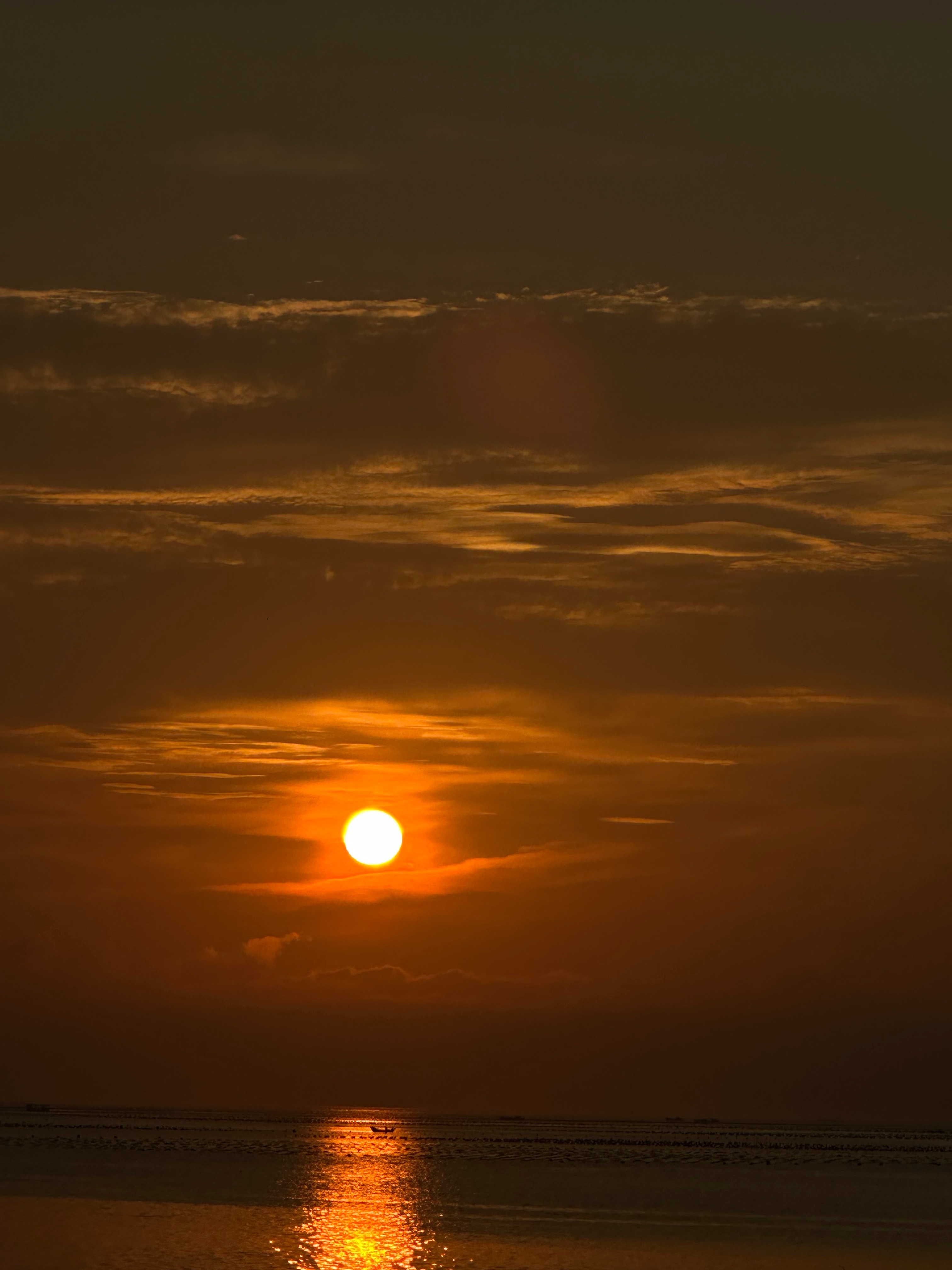 像日出一样越来越好🌅 ​​​