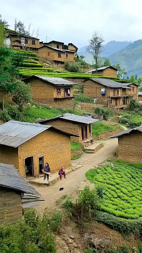 《打工人的故乡》我与故乡的距离就隔着一层人模狗样的伪装不敢离故乡太近怕故乡一眼就