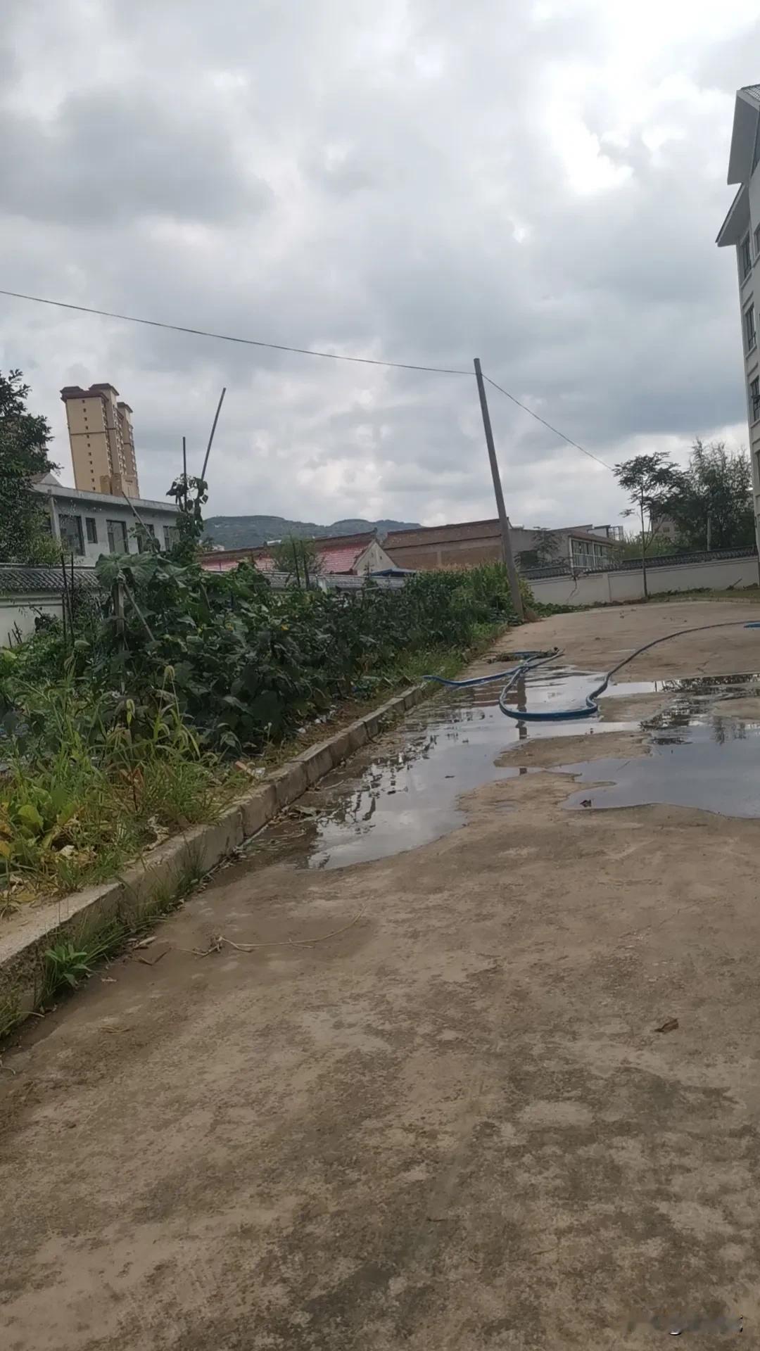 表妹这几天非常郁闷，通过进城考试后她被分配到离住的小区五六公里远的一所新建九年制