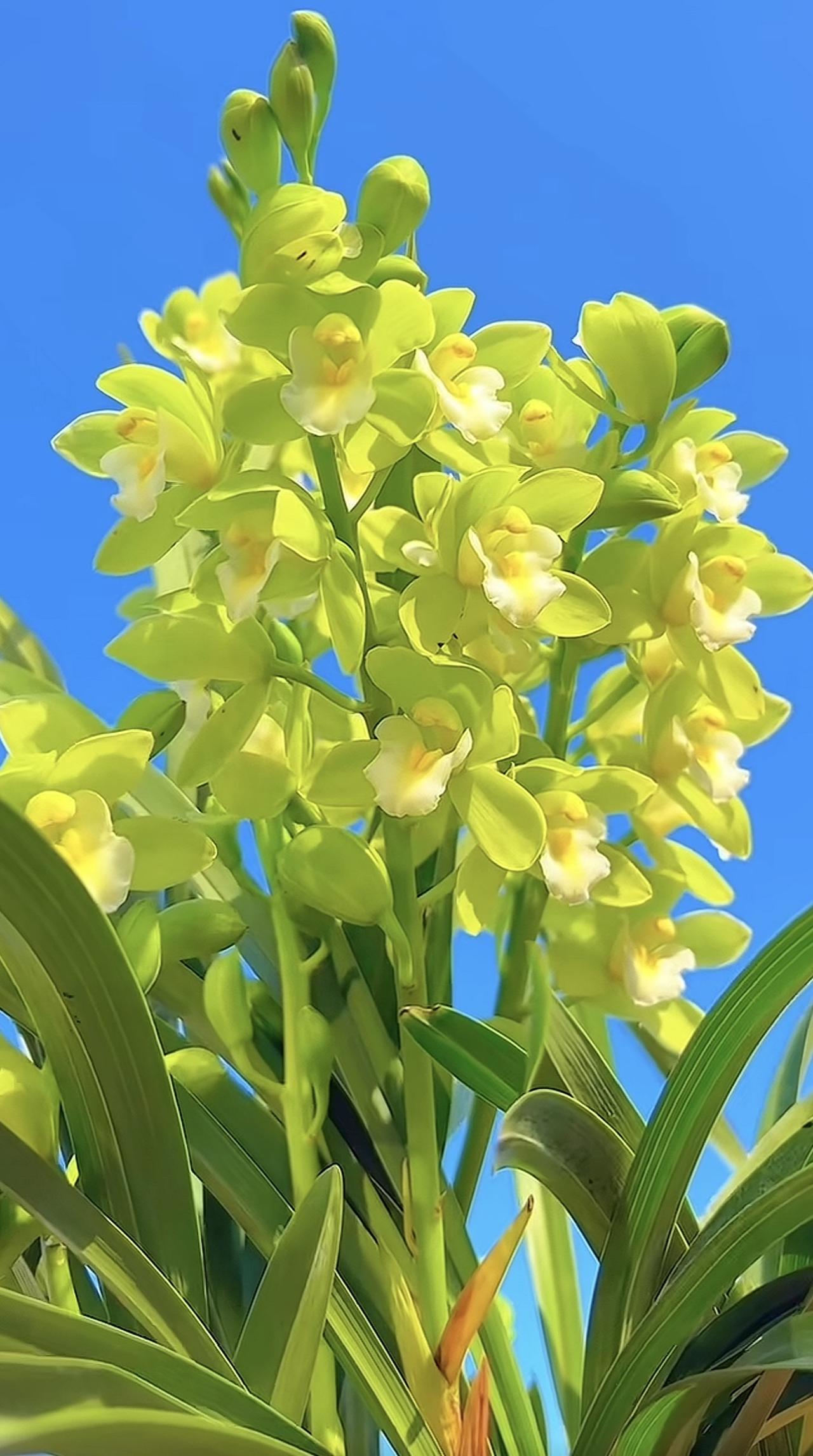 一位心内科医生跟我说：

“你养生，吃再好的补品，哪怕每天跑一万步，都白搭。养生