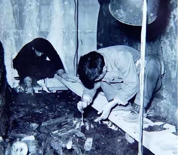 这个故事围绕着一对金手镯的神秘出现、贪婪与背叛、以及最终法律的审判，展现了文物背