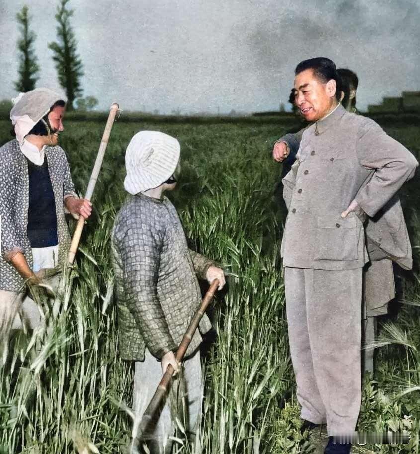 🌺🙏敬爱的周总理，致敬您的为民初心，践行您的民生情怀！“人民的利益高于一切”