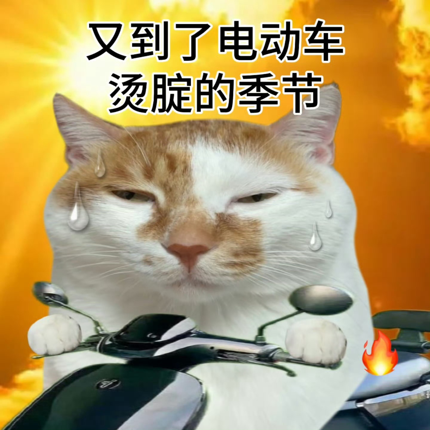 地球online怎么又要升温了离谱的地球online又迎来升温模式，气温接连往上