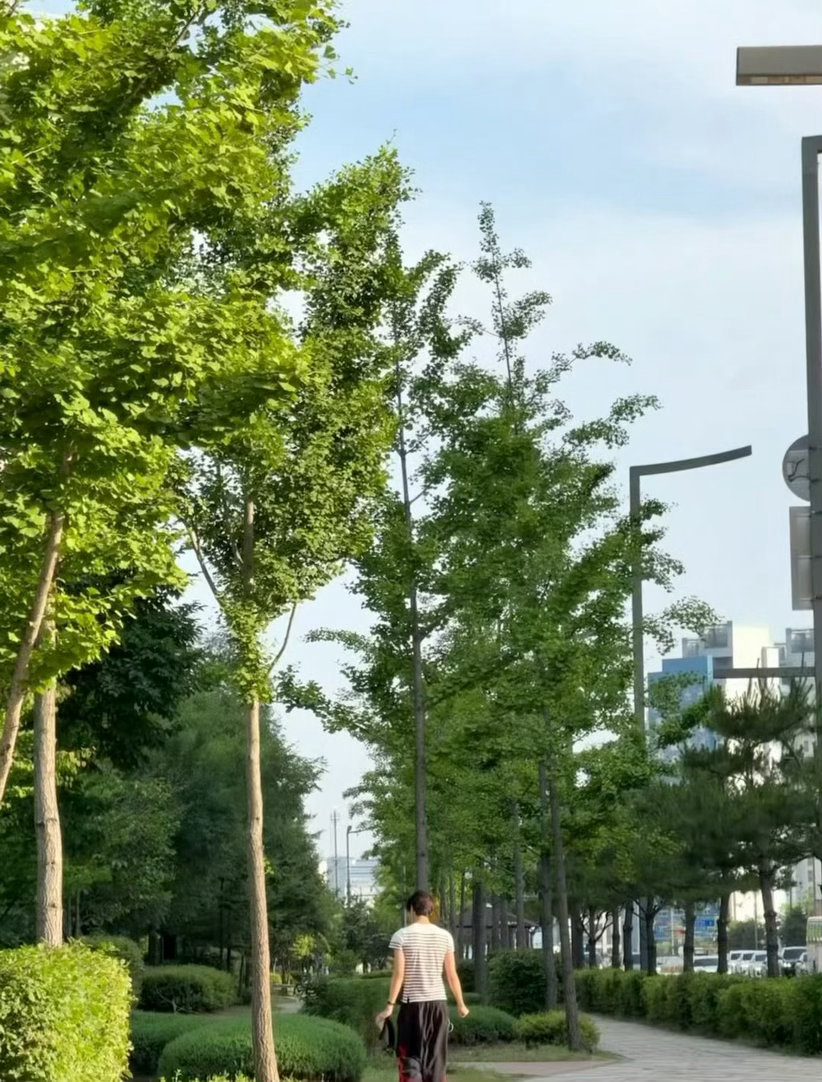 安乾镐在老家公园散步被粉丝偶遇了，真人高高瘦瘦还会特意停下来跟粉丝聊天，离开前还