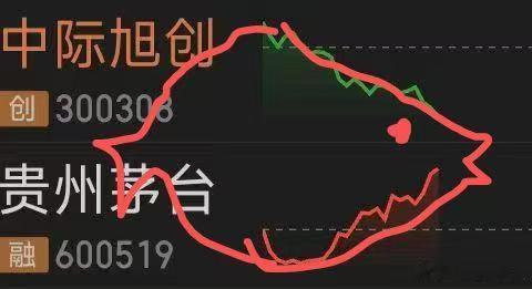 好鱼 