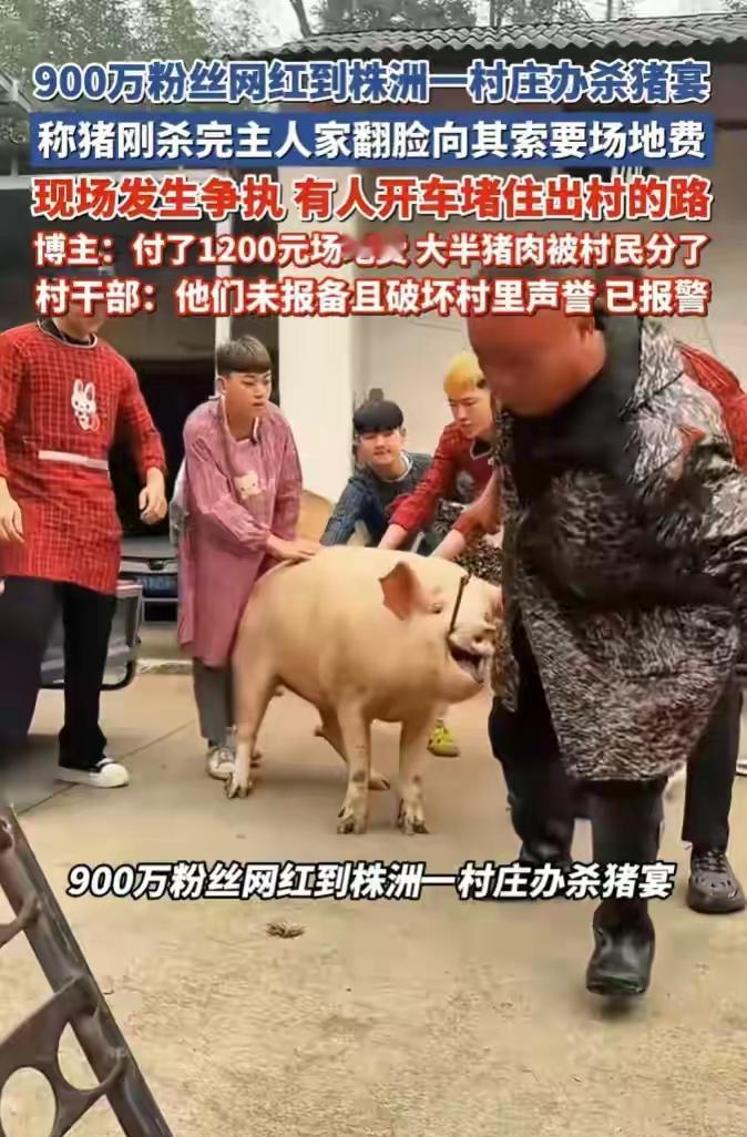 村庄办杀猪宴，称被村民收1200元场地费还拿肉，内幕来了
花3240元买400多