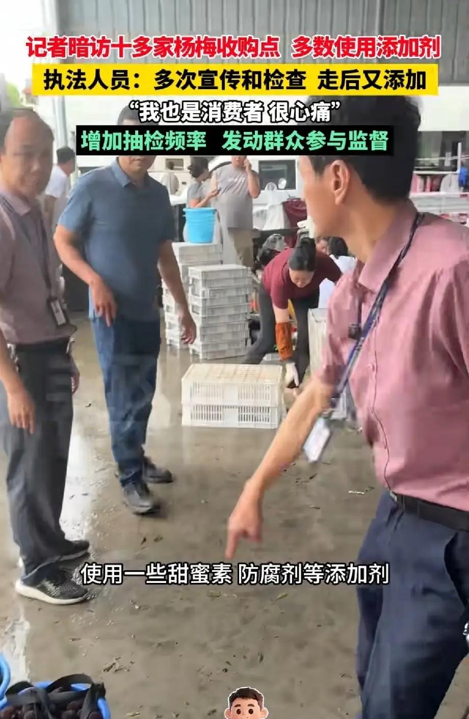 最近刚去漳州龙海旅游顺便买了些杨梅，杨梅吃起来很甜，当时就觉得奇怪，记得以前小时