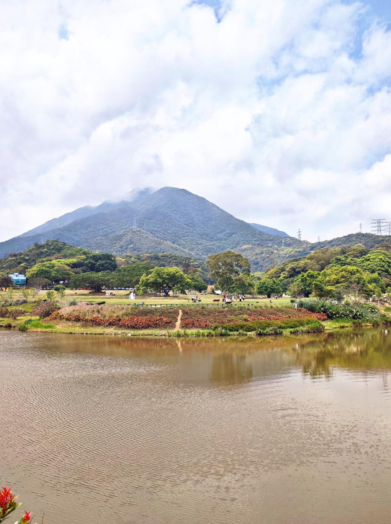深圳恩上湿地公园是一个值得来很多次的地方，这里可以看山，可以看海，可以看花，可以
