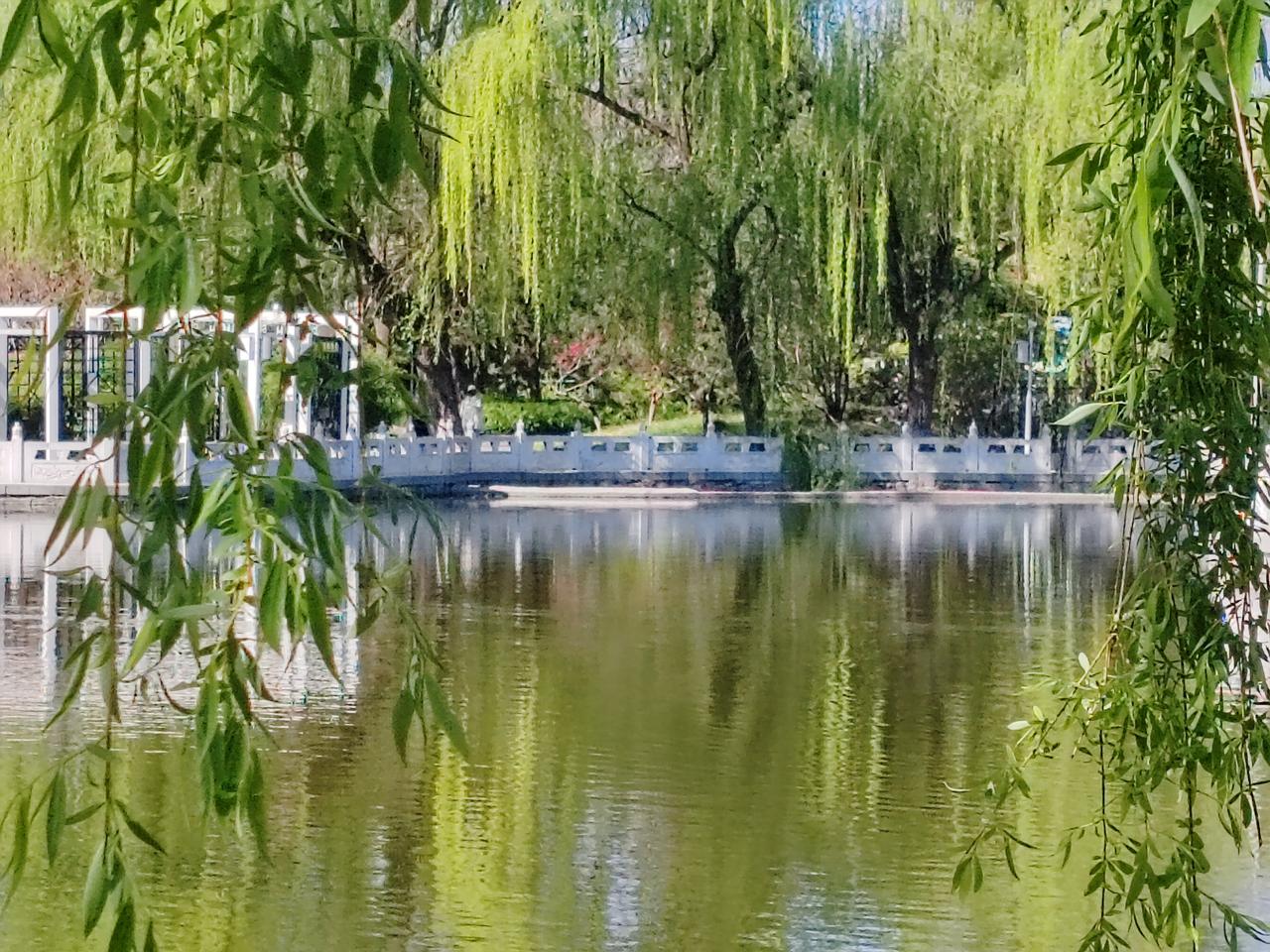春日生活打卡季春日随手拍。