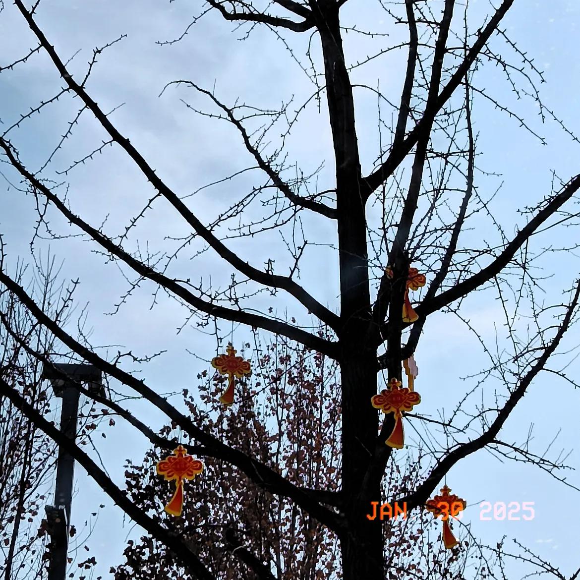 祝大家2025年蛇年新年快乐！愿好运纷至沓来，新的一年福气满满、欢乐多多😊 随