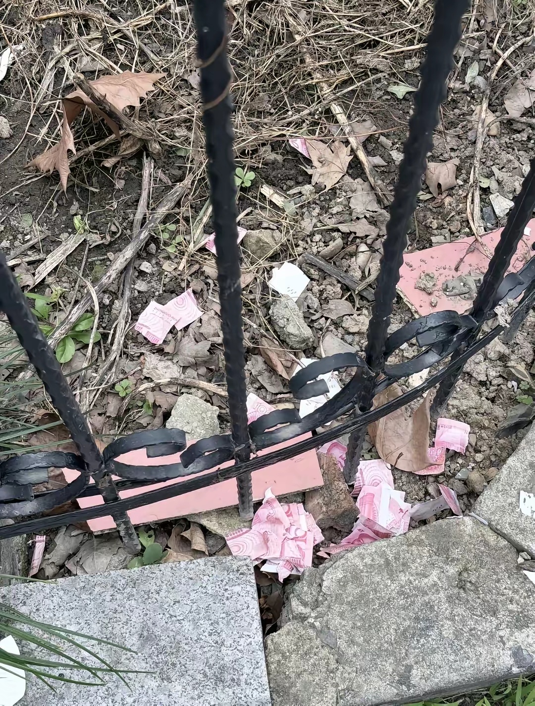 这是谁干的这么不把人民币当回事挣钱那么容易吗？直接都撕了 ​​​