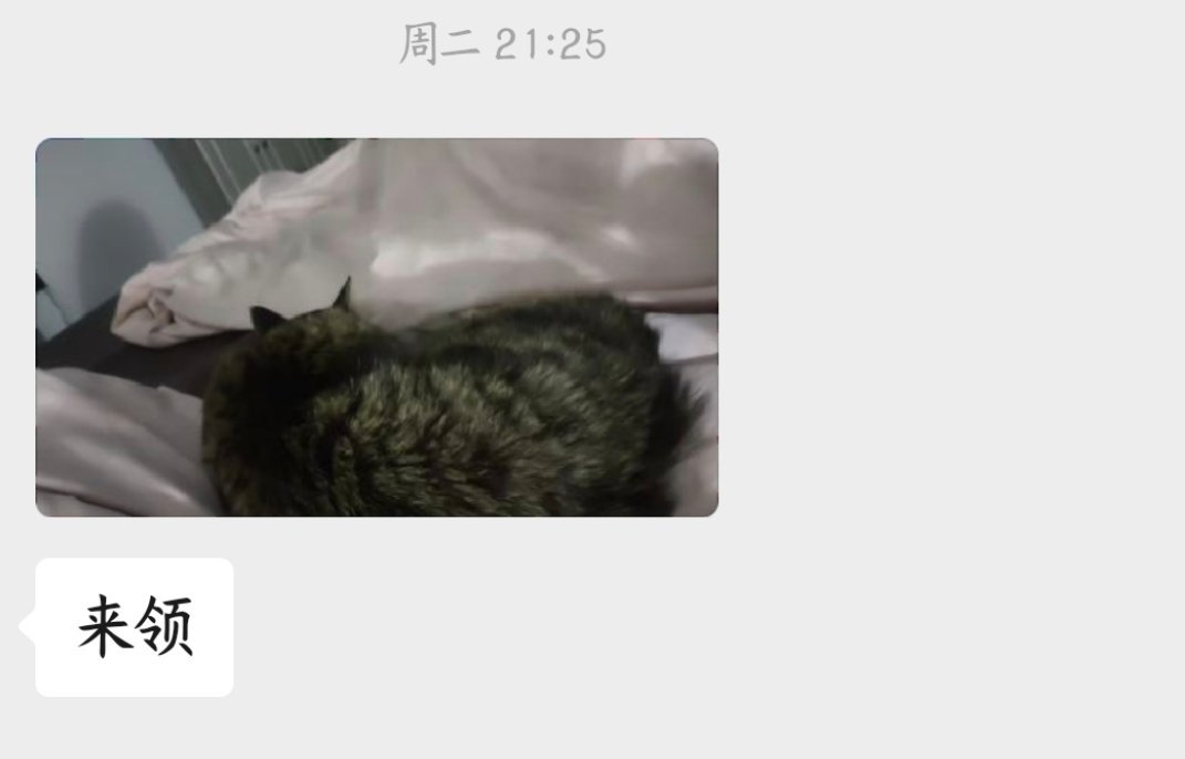 臭猫想赖在我爸妈房间睡觉就这样被无情驱逐 