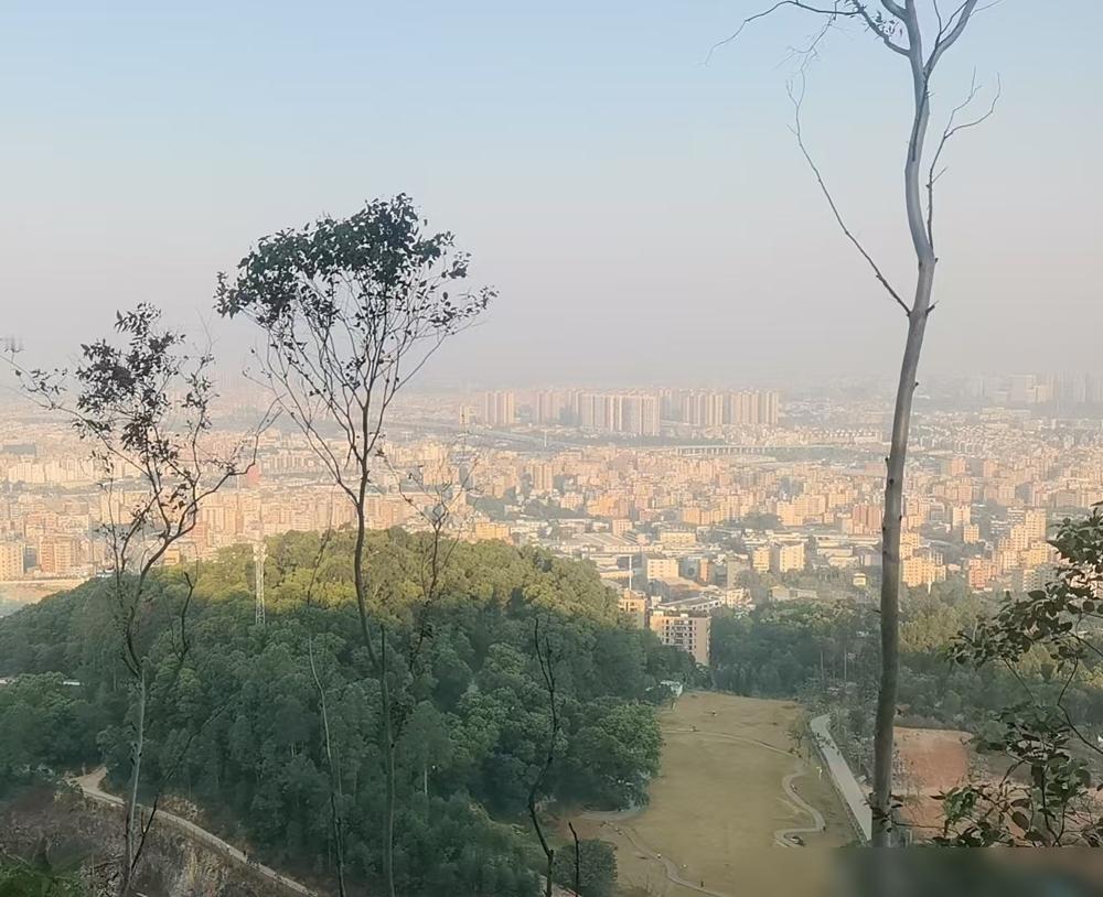 我真的越来越看不懂00后了。
​
我堂妹，02年的，今年23岁，中专毕业，刚出工