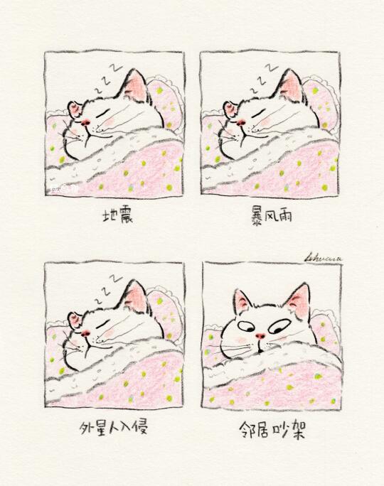 被窝里的猫 猫咪表情包 猫咪 插画