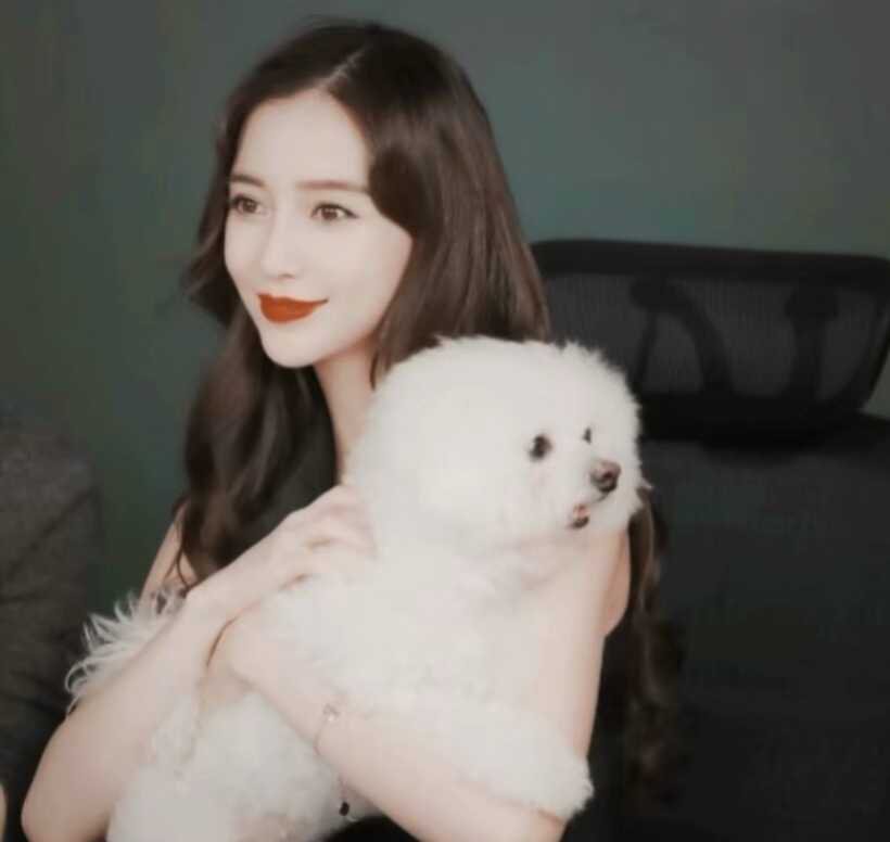 angelababy angelababy 你是我荒芜心田里的一抹月光，温柔了每