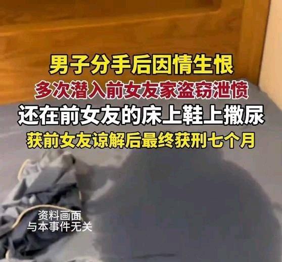 《男子分手后因情生恨，多次潜入前女友家盗窃泄愤，还在前女友的床上鞋上撒尿》男子分