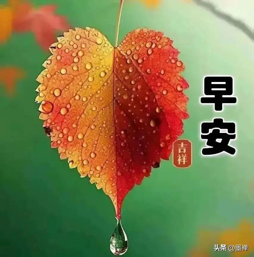 致还在焦虑的你

今年这行情，别跟自己过不去了。
没进大厂、没端铁饭碗的，
谁不