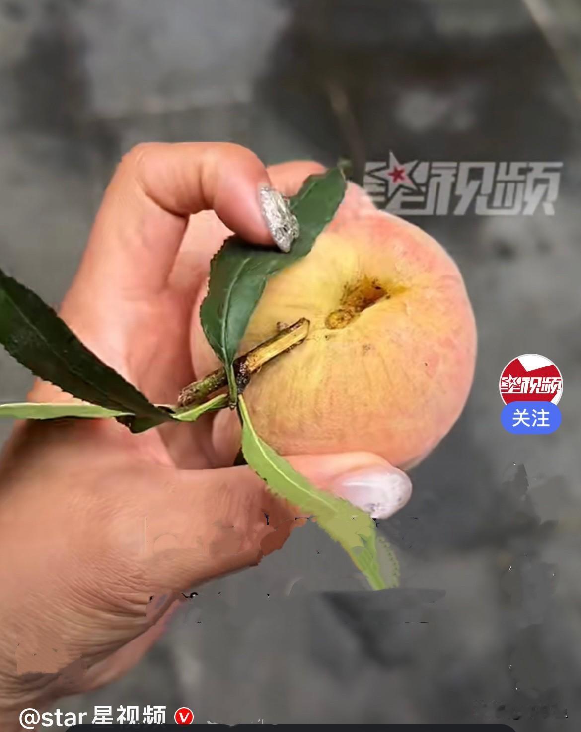 近日，云南保山一位女子在路上偶遇
一大妈摆摊卖桃，当时摊位前围着好几个路人挑选，