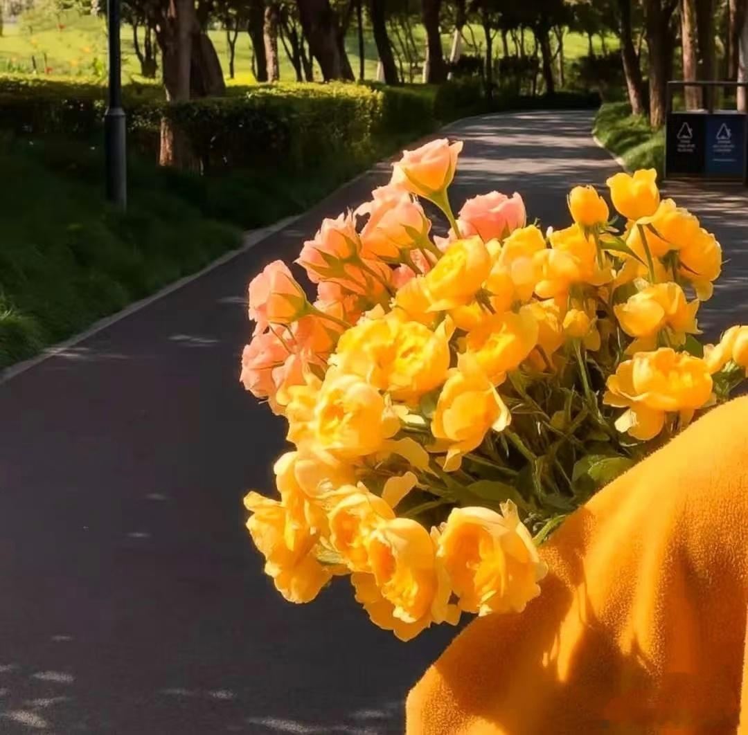 把身体照顾好，把喜欢的事做好，把重要的人待好，你要的一切，都在路上。晚安😴 