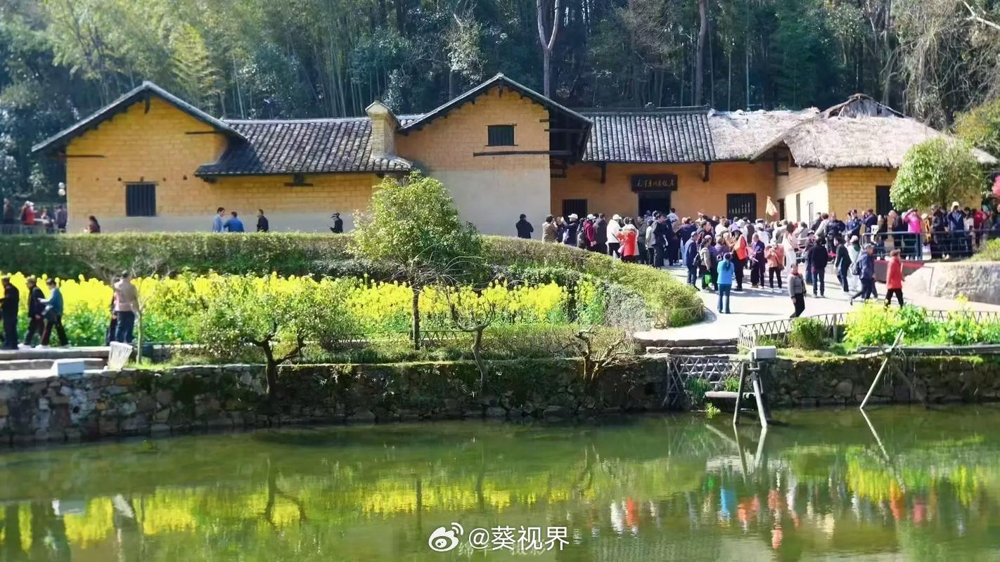 去看盛大的春天吧，去韶山。韶山的油菜花开了，明媚又亲切。 