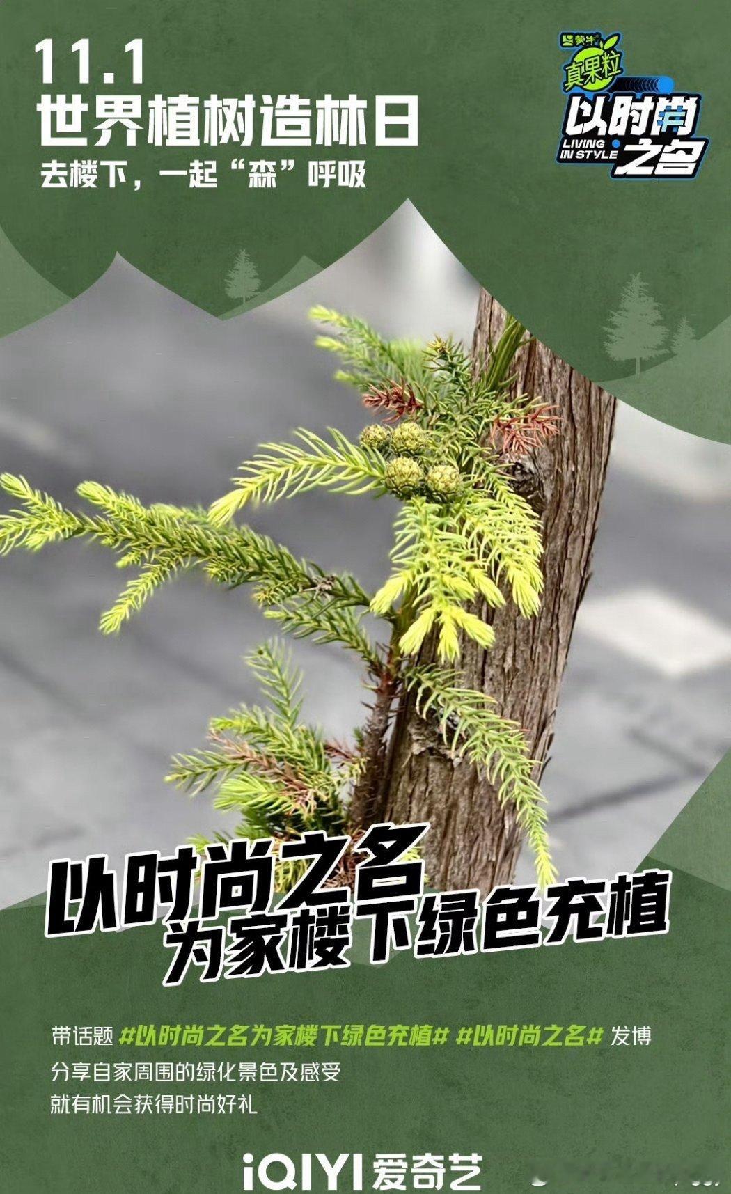 #以时尚之名为家楼下绿色充植#绿色，是生命之色[微风]。在这个美好的季节里，让我
