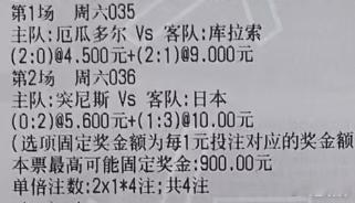 阿金世界杯：⭐️035 世界杯 厄瓜多尔vs库拉索（让平让负 2-0 2-1）⭐