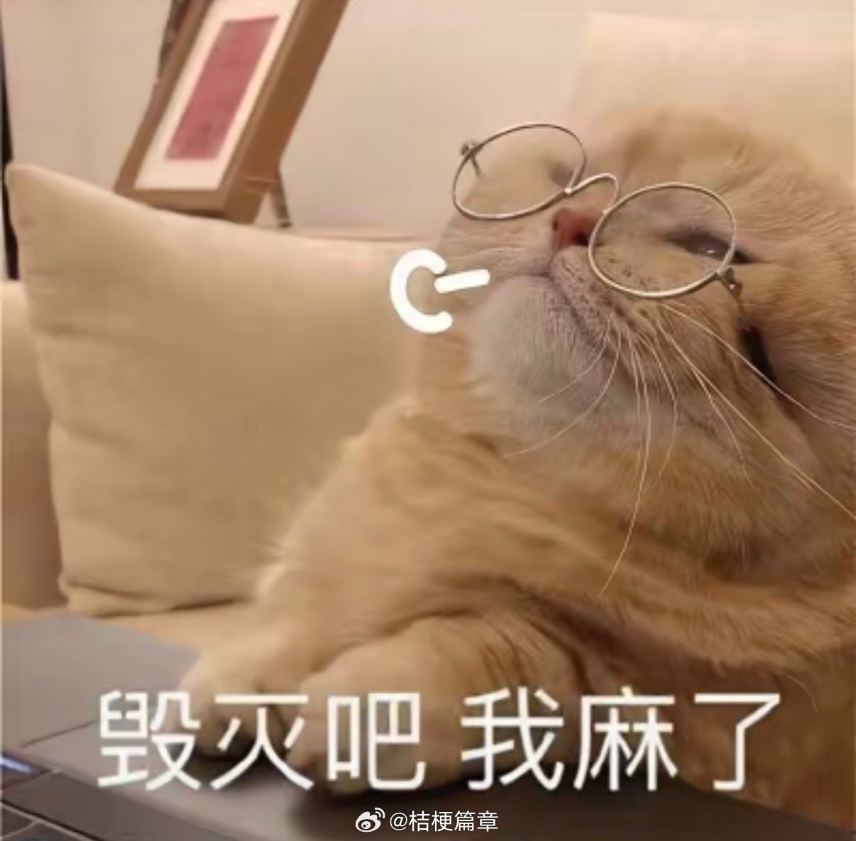 偏头痛真的是这个世界上最🗡️的病，睡多了疼，睡少了疼，牙疼的时候它也跟着疼，嗓