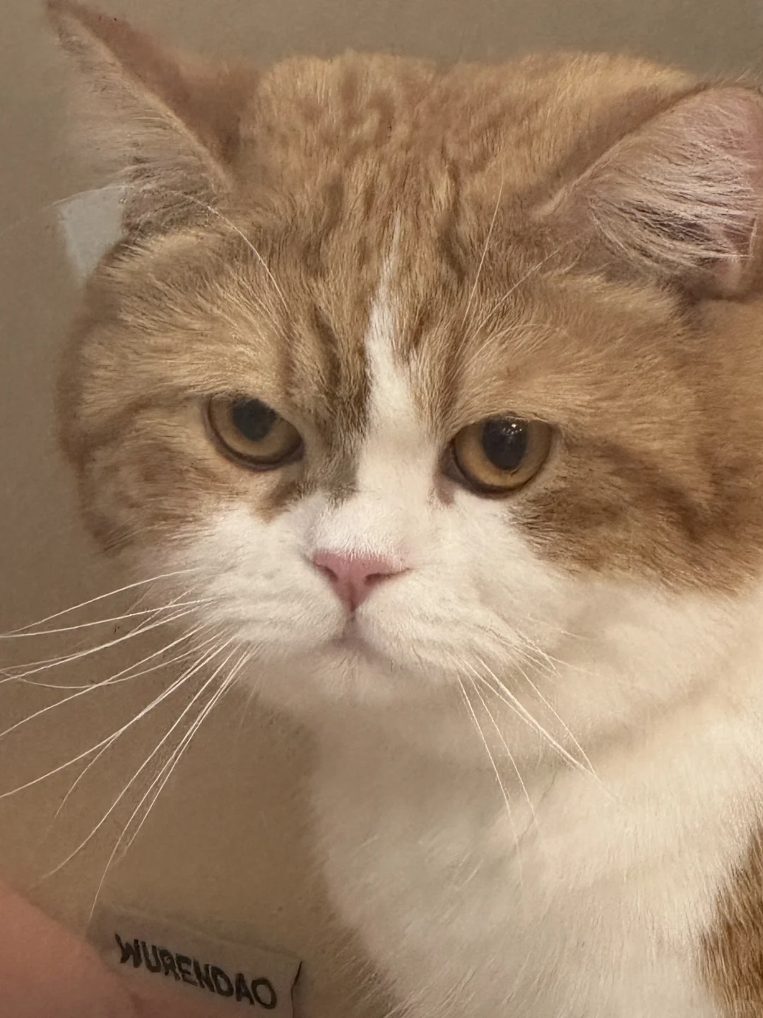 我说要把他房子送人 他用表情骂我