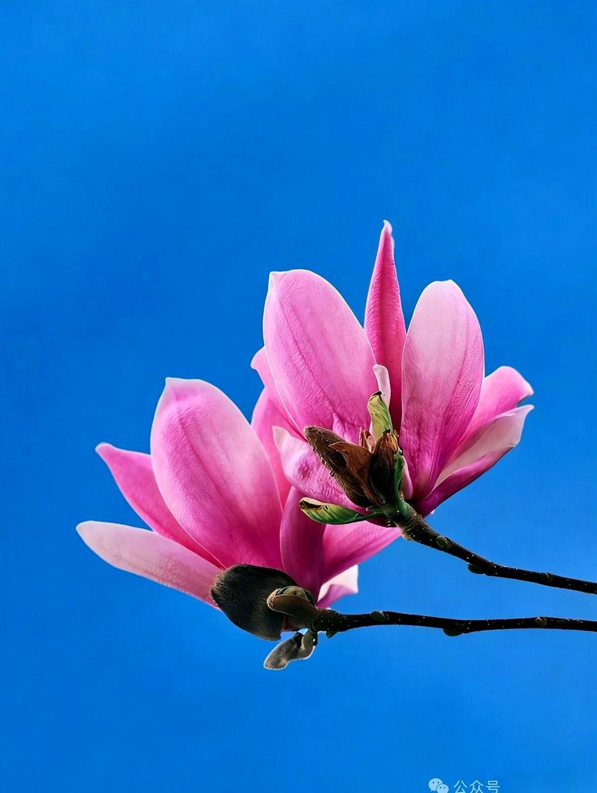 刚开学没几节课，形体老师就把我们一群老太太叫到跟前。
她手指在人群里划拉一圈，挨